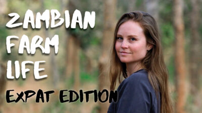 Expat on a Zambian Farm // Life Update