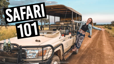 African Safari 101
